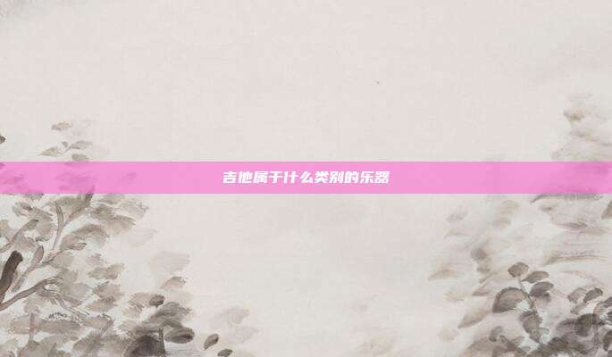 吉他属于什么类别的乐器