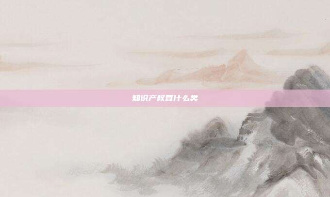 知识产权算什么类