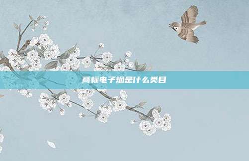 商标电子烟是什么类目