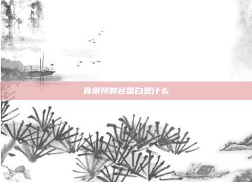 食用预制谷蛋白是什么