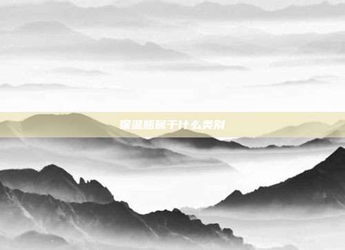 保温瓶属于什么类别