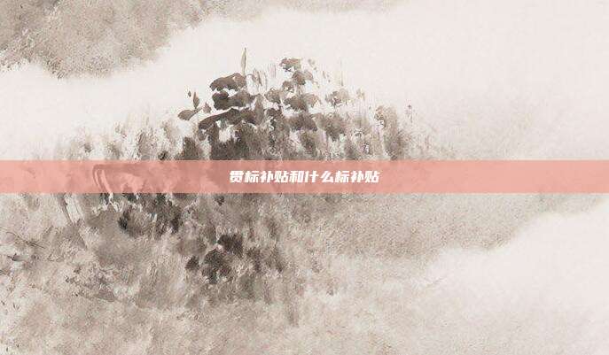贯标补贴和什么标补贴
