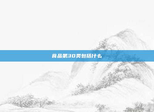 食品第30类包括什么