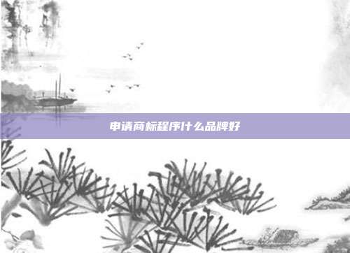 申请商标程序什么品牌好