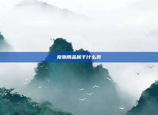 宠物用品属于什么类