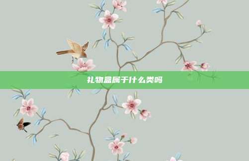 礼物盒属于什么类吗