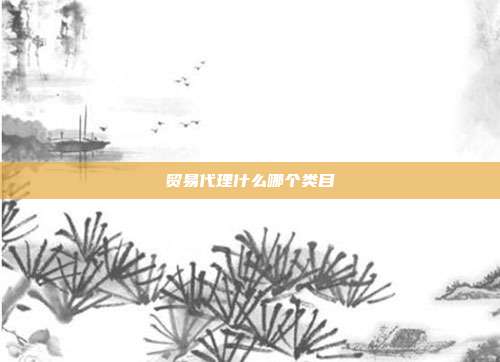 贸易代理什么哪个类目