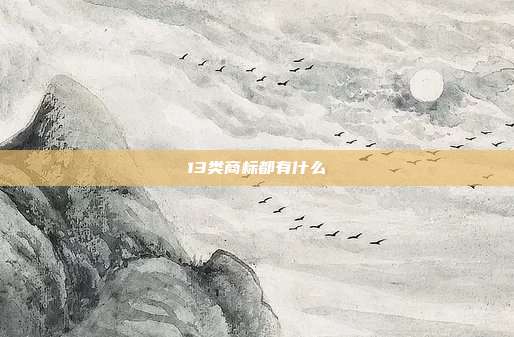 13类商标都有什么
