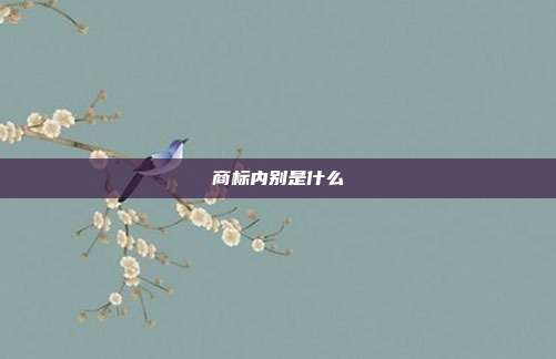 商标内别是什么
