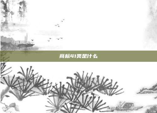 商标41类是什么