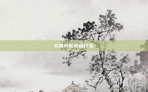 6类商标包括什么