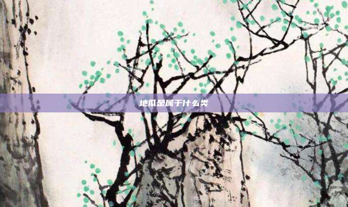 地瓜是属于什么类