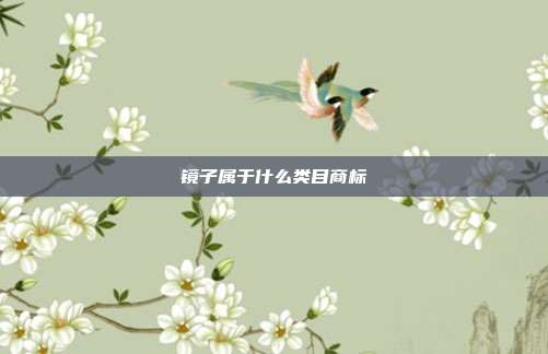镜子属于什么类目商标