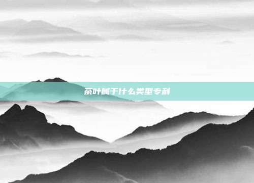 茶叶属于什么类型专利