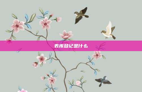 表库登记是什么