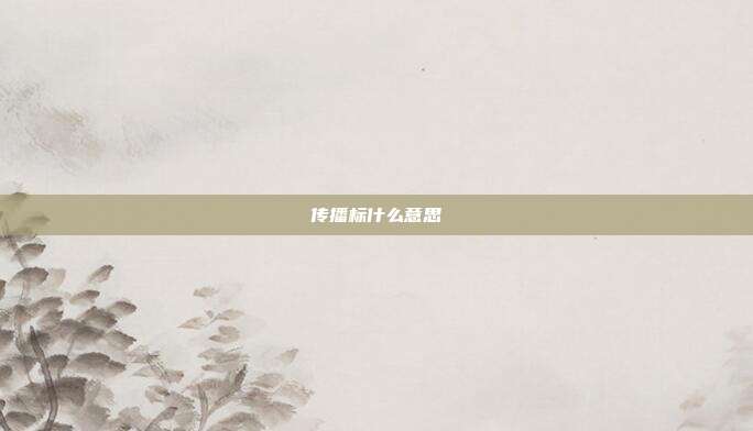 传播标什么意思