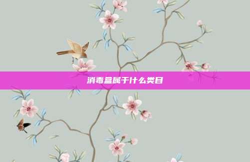 消毒盒属于什么类目