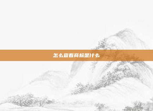 怎么查看商标是什么