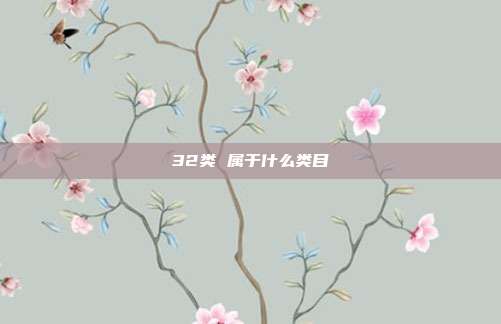 32类 属于什么类目