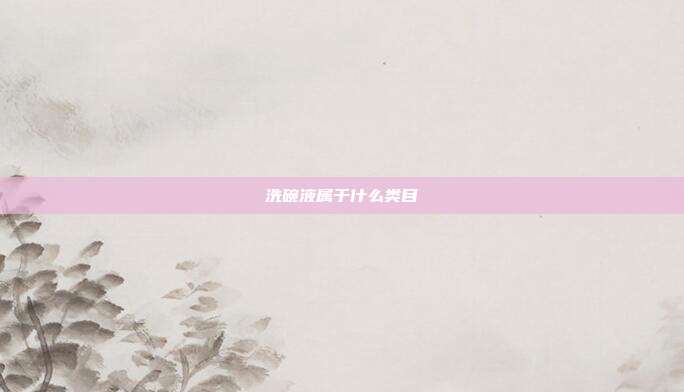 洗碗液属于什么类目