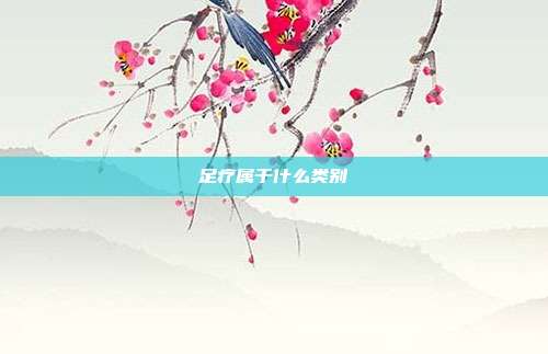 足疗属于什么类别