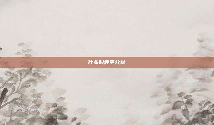 什么叫评审分案