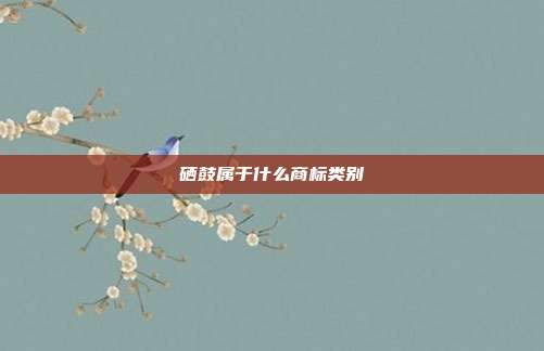 硒鼓属于什么商标类别