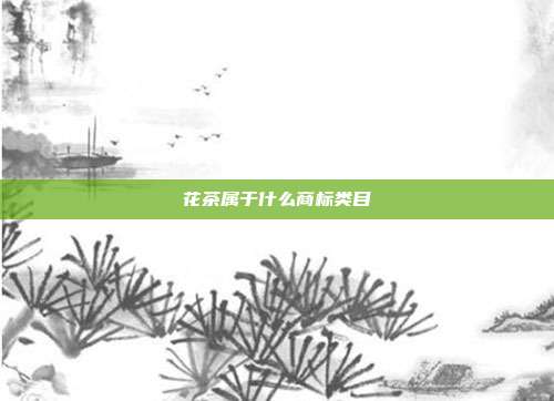 花茶属于什么商标类目