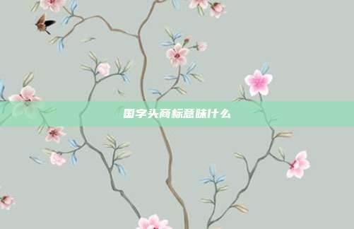 国字头商标意味什么