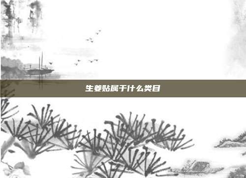 生姜贴属于什么类目