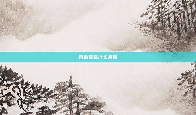 钥匙套选什么类目