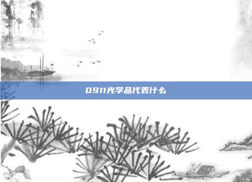 0911光学品代表什么