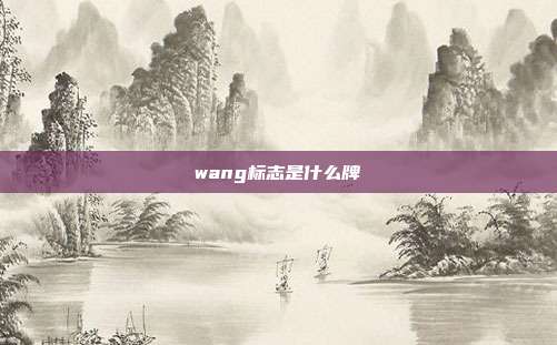 wang标志是什么牌