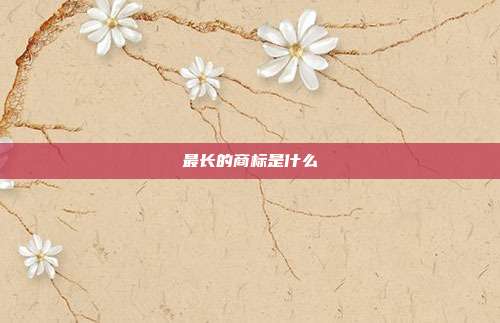 最长的商标是什么
