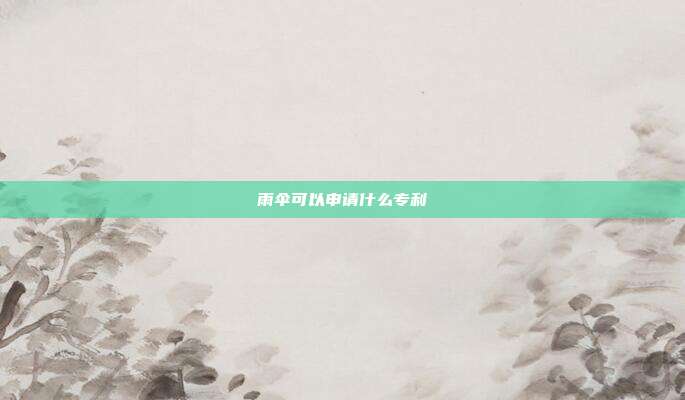 雨伞可以申请什么专利