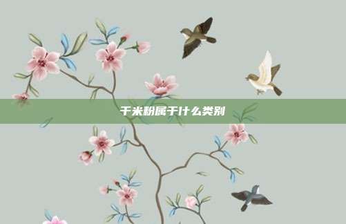 干米粉属于什么类别