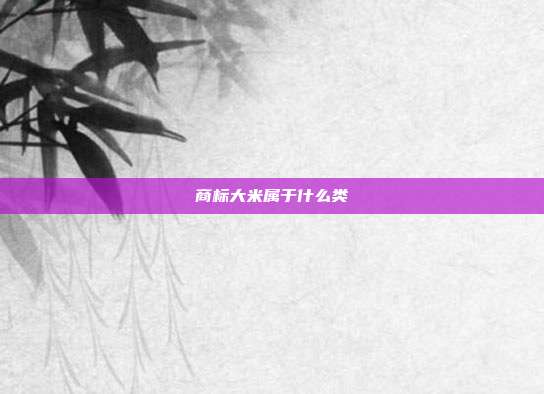 商标大米属于什么类