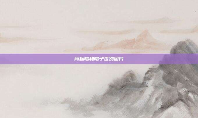 商标帽和帽子区别图片