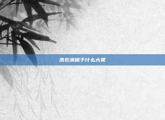 洗衣液属于什么大类