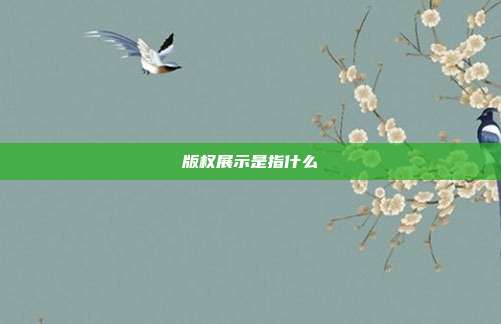 版权展示是指什么