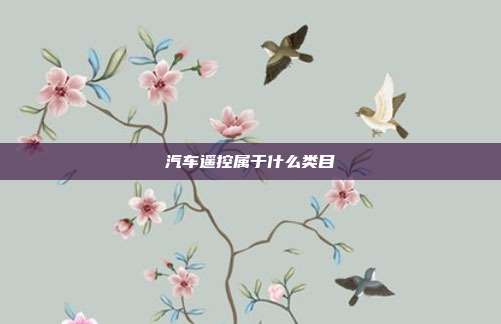 汽车遥控属于什么类目