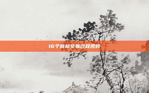 16个商标交易过程视频