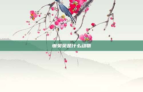 懒贝贝是什么动物