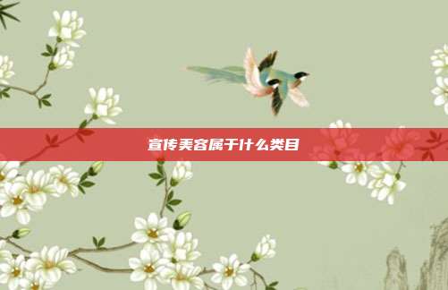 宣传美容属于什么类目