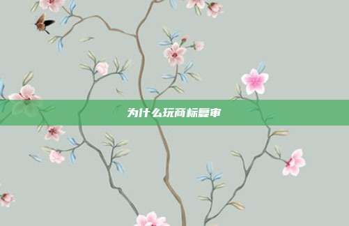 为什么玩商标复审