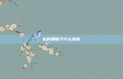 轮椅都属于什么类别