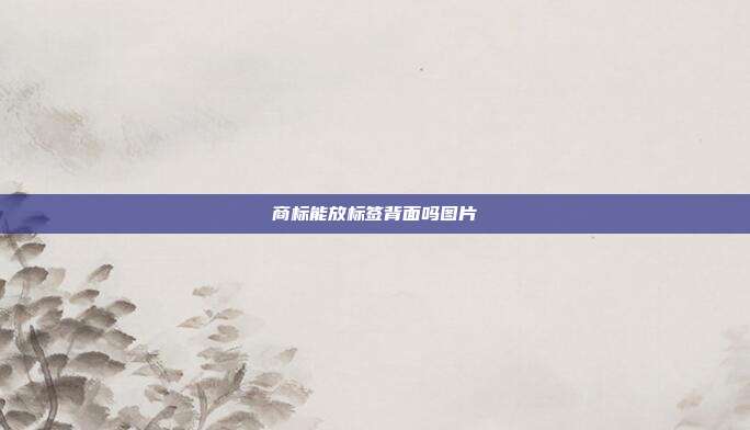 商标能放标签背面吗图片