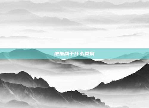 地拖属于什么类别