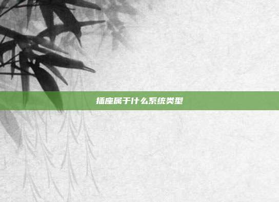 插座属于什么系统类型