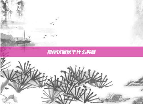 按摩仪器属于什么类目